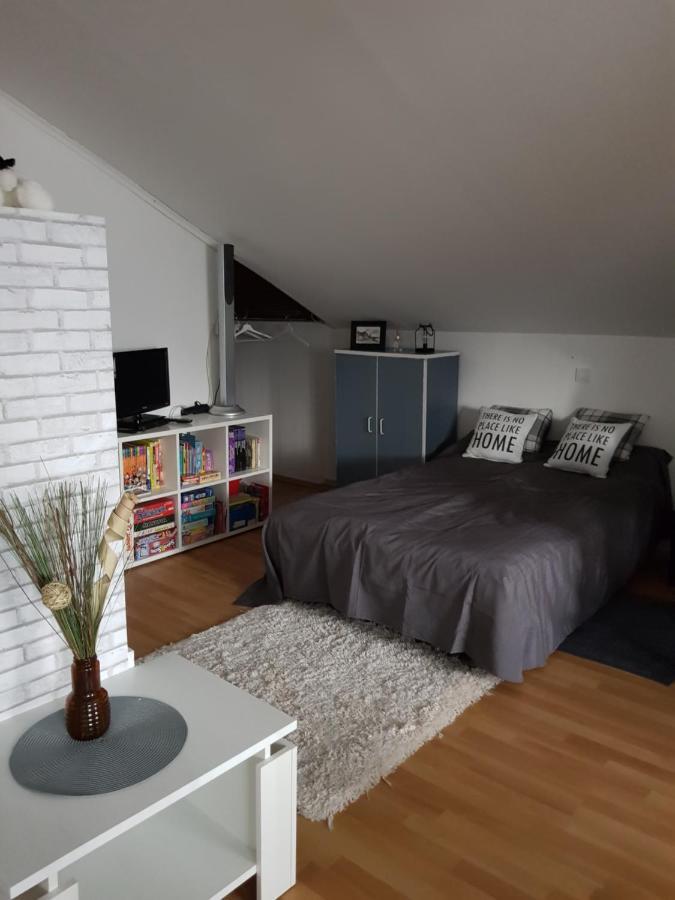 Apartman Atelier Karlovac Dış mekan fotoğraf